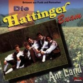 Audio Am Land Die Hattinger Buam