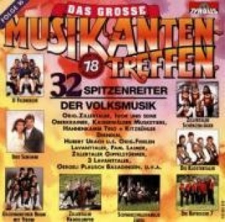 Аудио D.Gr.Musikantentreffen 16 Various