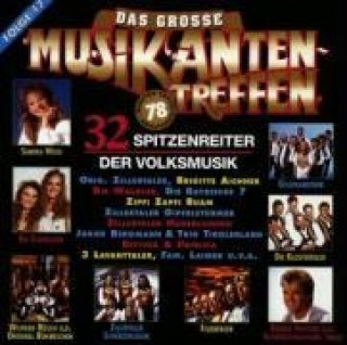 Аудио D.Gr.Musikantentreffen 17 Various