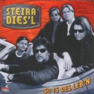 Audio So Is Des Leb'n Steira Dies'l