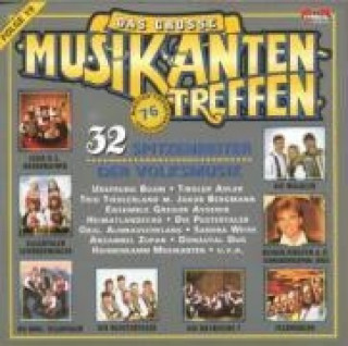 Аудио D.Gr.Musikantentreffen 19 Various
