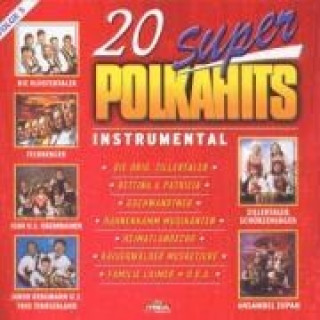Audio 20 Super Polkahits-Folge 5 Various