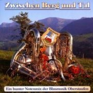 Аудио Zwischen Berg Und Tal Blasmusik Oberstaufen