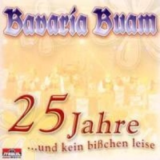 Audio 25 Jahre Und Kein Bisschen Leise Bavaria Buam