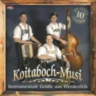 Áudio Instrumentale Grüáe Aus Werdenfels Koitaboch-Musi