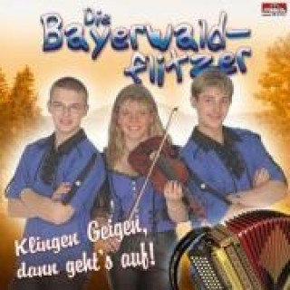 Audio Klingen Geigen,Dann Gehts Auf Die Bayerwaldflitzer