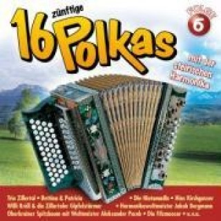 Audio 16 Zünftige Polkas Mit Der Steirischen Harmonika 6 Various