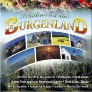 Аудио Melodien aus dem Burgenland Various