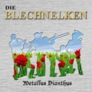 Audio Metallus Dianthus Die Blechnelken