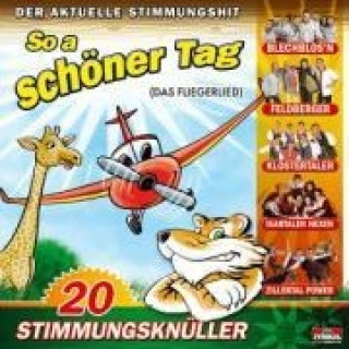 Аудио So a schöner Tag (Das Fliegerlied) Various