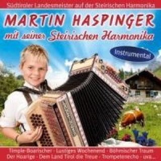 Hanganyagok Mit Seiner Steir.Harmonika-Instrumental Martin Haspinger