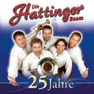 Audio 25 Jahre Die Hattinger Buam