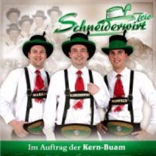 Audio Im Auftrag der Kern-Buam Schneiderwirt Trio