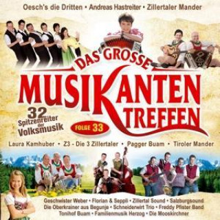 Audio Das grosse Musikantentreffen,Folge 33 Various