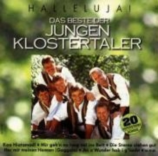 Audio Das Beste Der Jungen Klostertaler Die Jungen Klostertaler