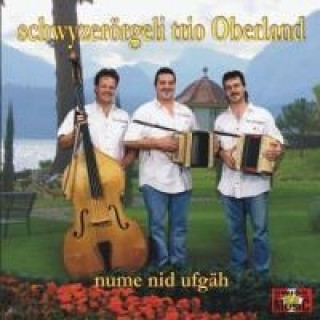 Audio Nume Nid Ufgäh Schwyzerörgeli Trio Oberland