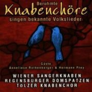 Zvok Volkslieder Various