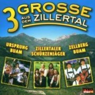 Audio 3 Grosse Aus Dem Zillertal Various