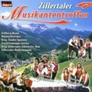 Audio Zillertaler Musikantentreffen Various