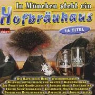 Audio In München Steht Ein Hofbräuhaus Various