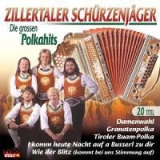 Audio Die Grossen Polkahits Zillertaler Schürzenjäger