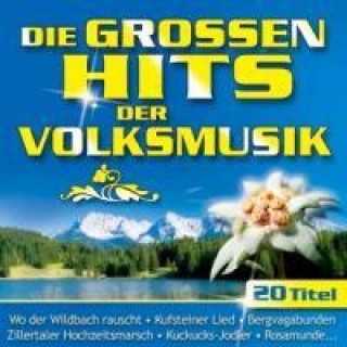 Audio Die grossen Hits der Volksmusik-Folge 1 Various