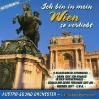 Audio Ich Bin In Mein Wien So Verliebt Austro-Sound Orchester