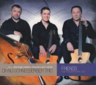 Audio Friends-A New Colour In Gypsy Jazz Diknu Schneeberger