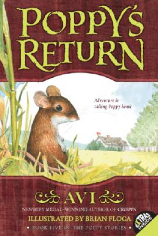 Könyv Poppy's Return Avi