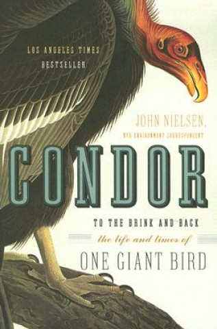 Kniha Condor John Nielsen