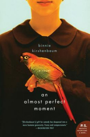 Könyv Almost Perfect Moment Binnie Kirshenbaum