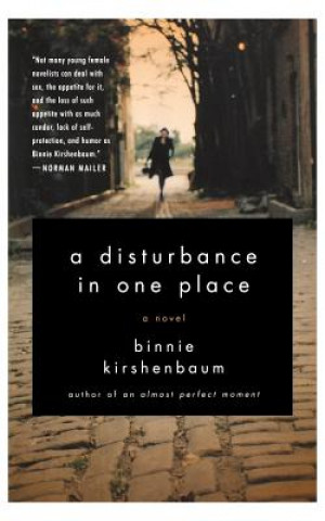 Könyv Disturbance in One Place Binnie Kirshenbaum