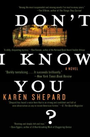 Buch Don't I Know You? Karen Shepard