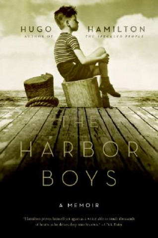 Βιβλίο The Harbor Boys: A Memoir Hugo Hamilton