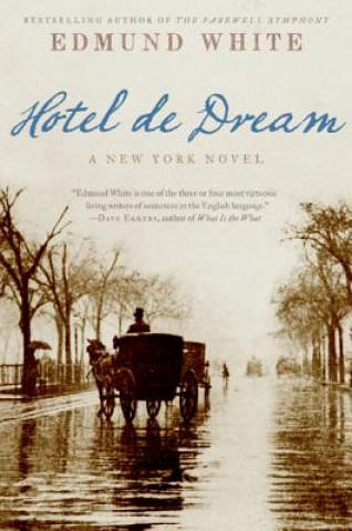 Kniha Hotel de Dream: A New York Novel Edmund White