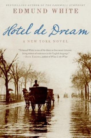 Knjiga Hotel de Dream: A New York Novel Edmund White