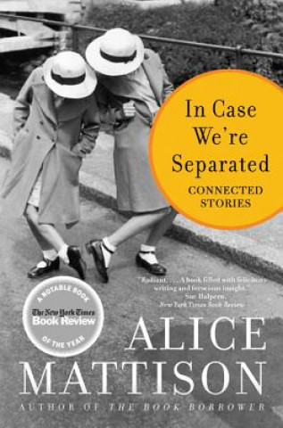 Book In Case We're Separated: Connected Stories Alice Mattison