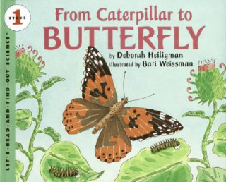 Könyv From Caterpillar to Butterfly Deborah Heiligman