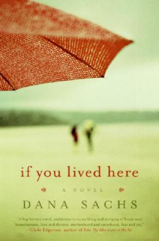 Book If You Lived Here Dana Sachs