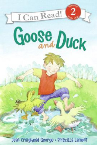 Book Goose and Duck Jean Craighead George