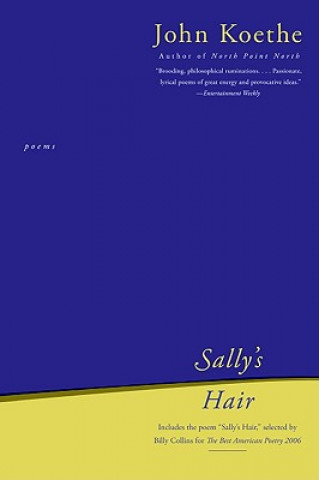 Book Sally's Hair JOHN KOETHE