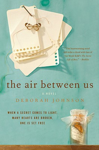 Kniha The Air Between Us Deborah Johnson