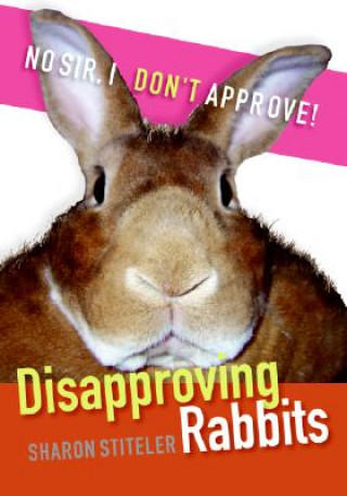 Kniha Disapproving Rabbits Sharon Stiteler