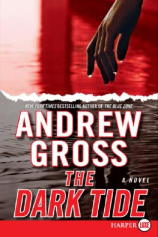 Kniha The Dark Tide Andrew Gross