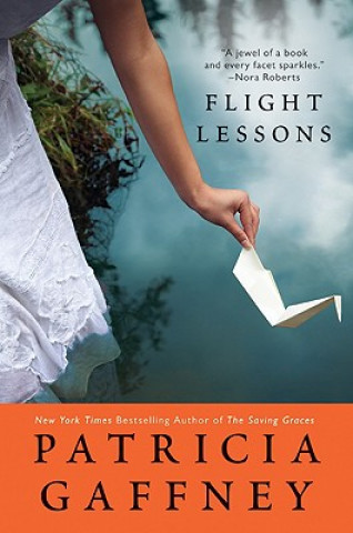 Buch Flight Lessons Patricia Gaffney