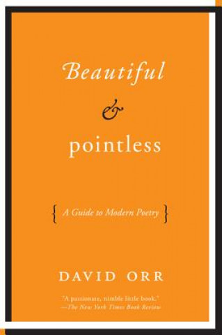 Kniha Beautiful & Pointless David Orr