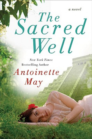 Könyv Sacred Well Antoinette May