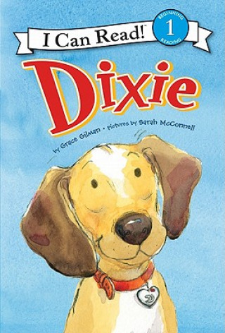 Könyv Dixie Grace Gilman
