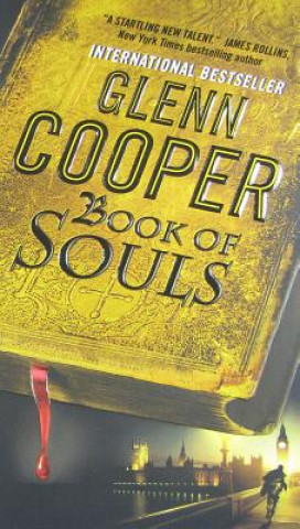 Kniha Book of Souls Glenn Cooper