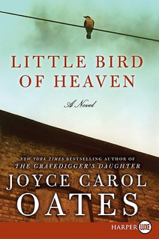 Książka Little Bird of Heaven Joyce Carol Oates